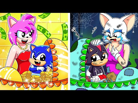 Mom Amy is Rich & Mom Blaze is Poor!! - Rich & Poor - Sonic The Hedgehog 3 Animation