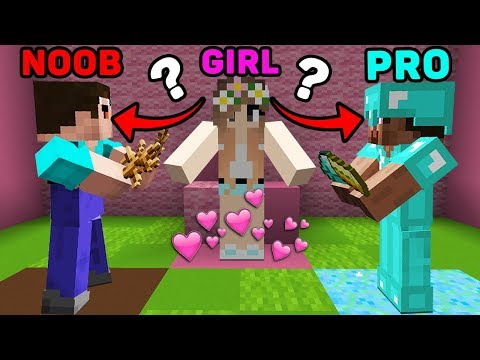Minecraft NOOB vs PRO : WHO WILL CHOOSE THE GIRL? in Minecraft Animation