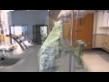 Chemical Reactions in Flameless Ration Heaters