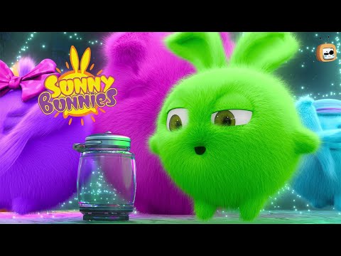 Sunny Bunnies - Firefly Adventure | Fun & Adventures Cartoon | Gumball | Kids Cartoon | Chotoonz tv