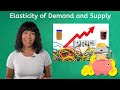 Understanding Price Elasticity