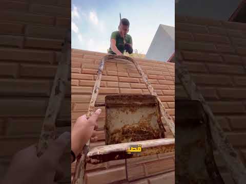 بهدلة الجمعة ببيت العيلة 1