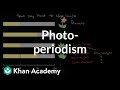Understanding Photoperiodism in Plants