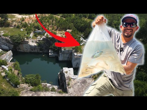 Metiendo carnada Viva en Mina Abandonada