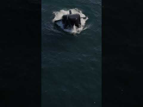 Autonomous Seapower