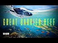 Great Barrier Reef Knowledge Assessment