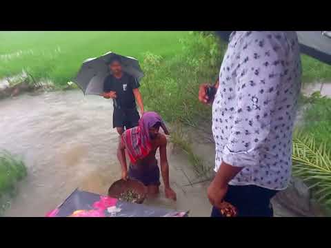 Amazing rainy day fishing video | Catching fish in flood water | Best village fishing