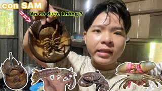 Lần đầu Mạo Hiểm ăn thử con SAM có hình dạng độc lạ và nhiều loại Hải Sản Biển quá đã / Bảo pet
