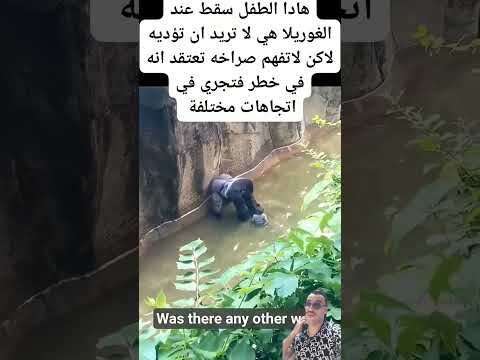 طفل زلق عند غوريلا 🦍😱😱.                  #tiktok #viralvideo #المغرب