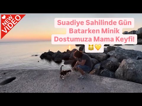 Suadiye Sahilinde Gün Batarken Minik Dostumuza Mama Keyfi! 🐱💛