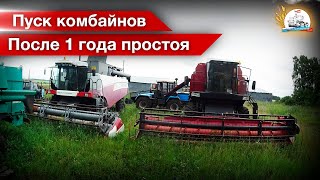 видео
