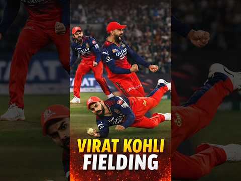 Virat Kohli Fans #shorts #cricket #cricketlover #ipl #viratkohli #viralvideo #trending #viral