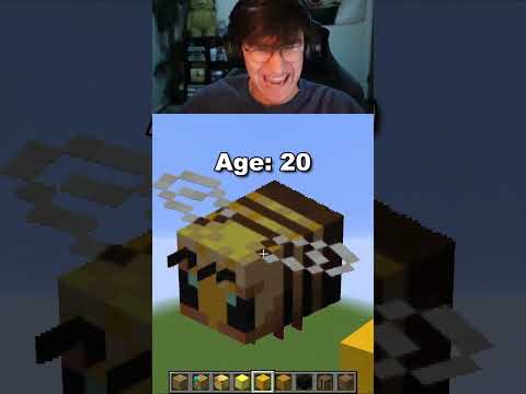 Minecraft Bee Pixel Arts at Different Ages ??