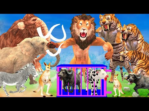 5 Giant Elephant Cow vs 5 Giant Tiger Zombie Lion Attack Cow Buffalo Saved by Woolly Mammoth Battle