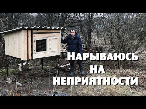 Занимаюсь любимым делом и напрашиваюсь на неприятности.
