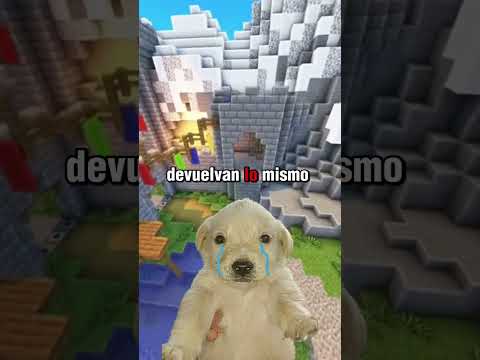 ¿Quién me ayuda? 🐶🌧️