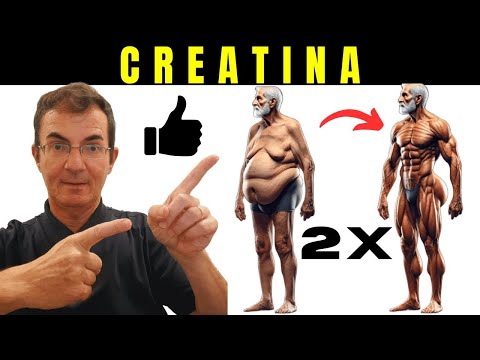 O IMPACTO da CREATINA no SEU CEREBRO VOCE PRECISA SABER