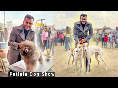 Patiala Dog Show in Punjab😱😍