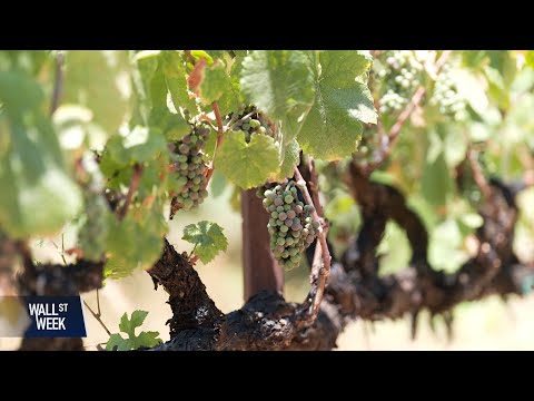 YouTube video thumbnail: Wine Woes as President Trump’s Tariffs Loom