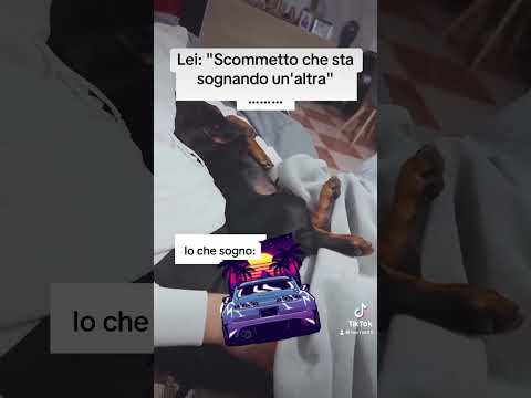 😂 I NOSTRI SOGNI 😴 #f1 #automobile #ferrari #formula1 #supra #tutututu #sogni #notte #passione