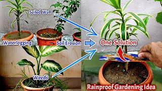 Monsoon Gardening Hacks । Plant Saving Idea In Heavy Rain #MonsoonGardening #RainProofGarden