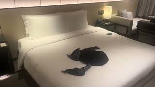 Vietnam Expat - He’s at the damn Casino again…..