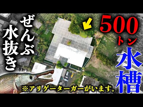 外来危険生物がいる５００トン水槽の水ぜんぶ抜きます！in  宮古島#1