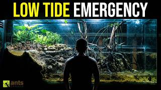 Simulating Low Tide in My Giant Lagoon Vivarium