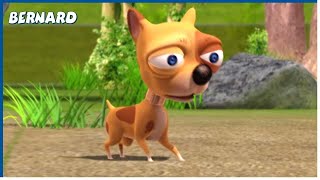 THE LITTLE DOG  2  | Bernard  | 110' Compilation