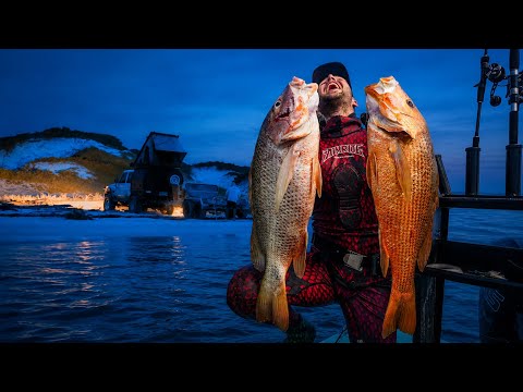 Remote Beach Camping | Spearfishing for food !