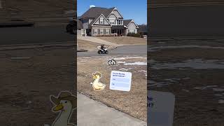 Goose