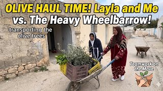 PINAY BUHAY SA TUNISIA 🇹🇳🇵🇭 kargador muna kami ni laila ang kaibigan kong tunisian today #everyone 