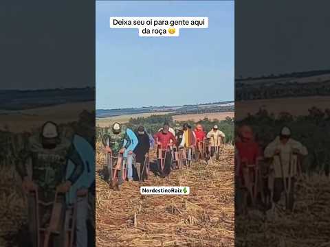O nordestino caminha com a força de quem conhece a dor, mas nunca perde o sorriso🌵