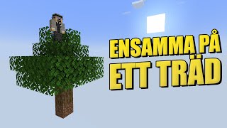 Ensamma på ett träd - ATM10 To The Sky #1