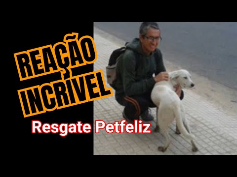 OLHA como esta CACHORRA reagiu ao resgate