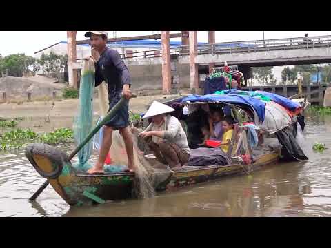 Chài Cá Trên Sông, Trắng Chài, 1 Buổi Trên 100kg Cá , Cá Này Bán Cá Mồi Tiếc Quá #257