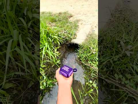 Jbl Go 4 Waterpool drop