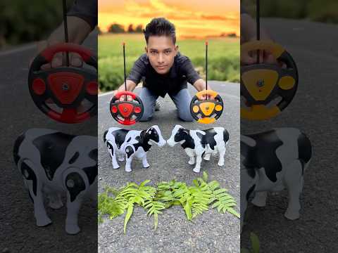 Amar Remote Control 2 Ta Cow 🐄 Dakho 🔥