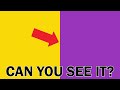 Understanding Color Perception and Vision