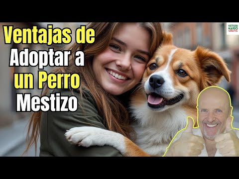 🥰 VENTAJAS DE ADOPTAR A UN PERRO MESTIZO QUE POCOS CONOCEN 🥰