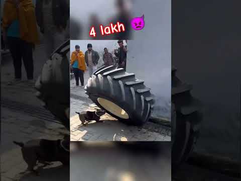 4 lakh k Tyres 💯💯 #nishudeshwal #trectr #farmer #johndeere #tochanking