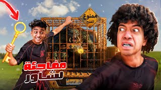 روحت لشاور للصلح وجبت مفاجأة مكنش يتوقعها ⚠️🔥