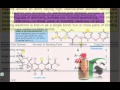 Hybridization and Periodic Trends in Chemistry