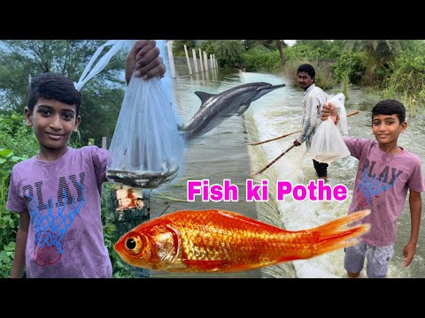 Chepalu pattinam cheruvu daggara || Manu Videos || fish Videos || Telugu letest All Aoz