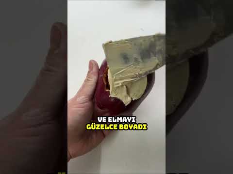 Yeni Ev Sahibine Bir Sürpriz Bıraktı 🙄😂