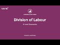 Division of Labor and Productivity