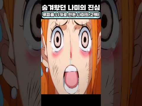 루피를 니카로 만든 나미의 고백!