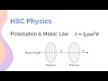 Polarization and Light Behavior