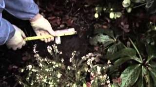 Barnaby   0907   Complément d'enquête complet en francais