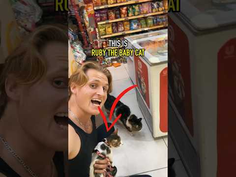 Ruby the baby cat’s mom, BUT WAIT… #cat